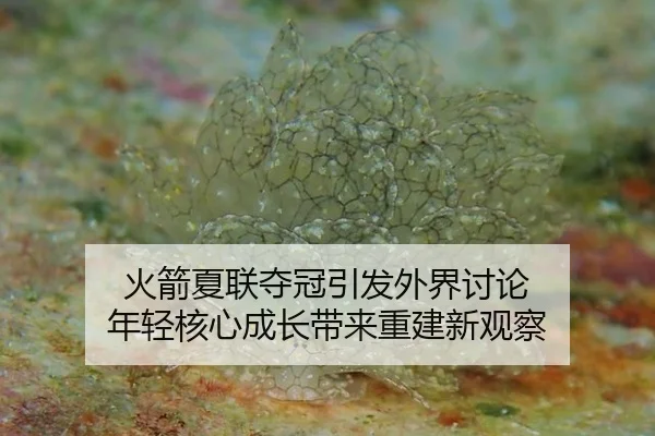 huo-jian-xia-lian-duo-guan-yin-fa-wai-jie-tao-lun-nian-qing-he-xin-cheng-zhang-dai-lai-chong-jian-xin-guan-cha-2-628.jpg